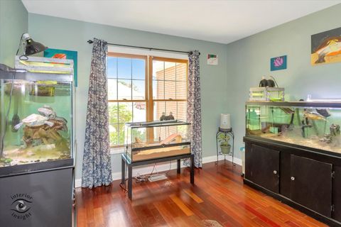 Tiny photo for 1019 James Pass, New Lenox, IL 60451 (MLS # 12474839)