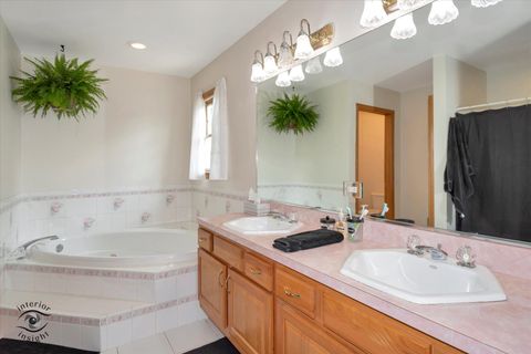 Tiny photo for 1019 James Pass, New Lenox, IL 60451 (MLS # 12474839)