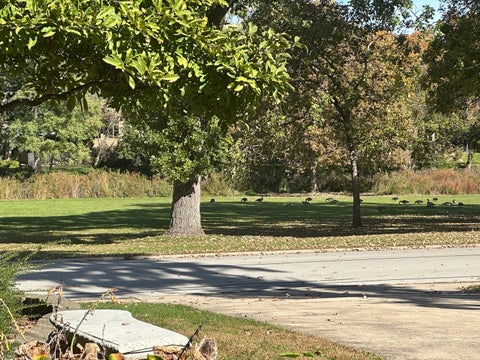 Tiny photo for 853 Edgewater Drive, Naperville, IL 60540 (MLS # 12764340)