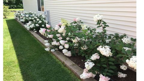 Tiny photo for Round Lake, IL 60073 (MLS # 12623452)