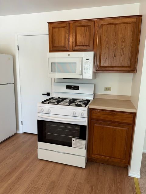 Tiny photo for 380 HEATHER Court #B2, Schaumburg, IL 60193 (MLS # 12576656)