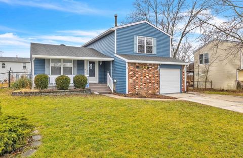 20538 S Frankfort Square Road Frankfort IL 60423