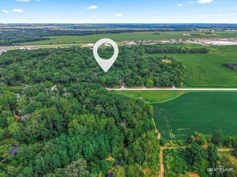 Tiny photo for 16323 Griswold Springs Road, Plano, IL 60545 (MLS # 12443784)