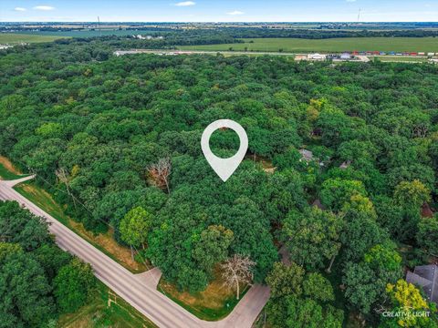 Tiny photo for 16323 Griswold Springs Road, Plano, IL 60545 (MLS # 12443784)