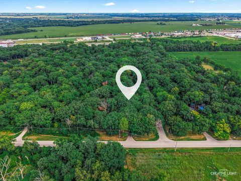 Tiny photo for 16323 Griswold Springs Road, Plano, IL 60545 (MLS # 12443784)