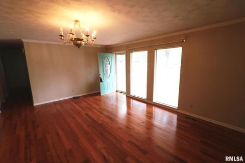 Tiny photo for 101 Lingale Street, Marion, IL 62959 (MLS # EB459628)