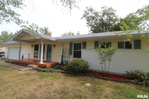 Tiny photo for 101 Lingale Street, Marion, IL 62959 (MLS # EB459628)