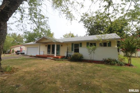 Photo of 101 Lingale Street, Marion, IL 62959 (MLS # EB459628)