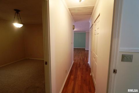 Tiny photo for 101 Lingale Street, Marion, IL 62959 (MLS # EB459628)