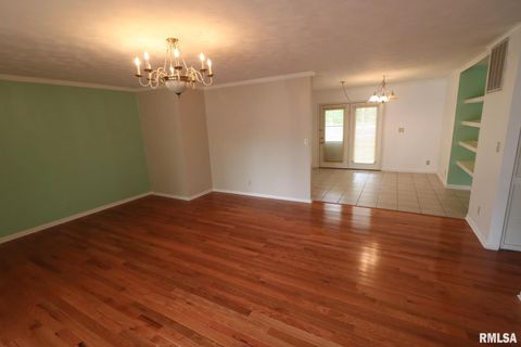 Tiny photo for 101 Lingale Street, Marion, IL 62959 (MLS # EB459628)