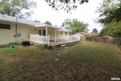 Tiny photo for 101 Lingale Street, Marion, IL 62959 (MLS # EB459628)