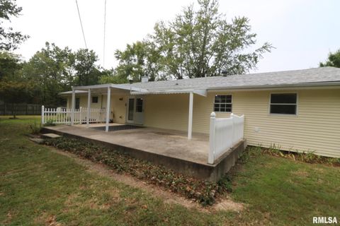 Tiny photo for 101 Lingale Street, Marion, IL 62959 (MLS # EB459628)