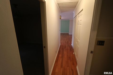 Tiny photo for 101 Lingale Street, Marion, IL 62959 (MLS # EB459628)