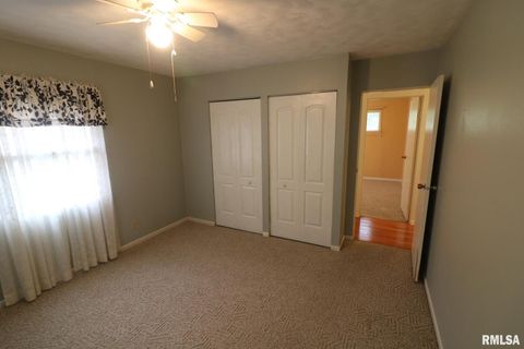 Tiny photo for 101 Lingale Street, Marion, IL 62959 (MLS # EB459628)