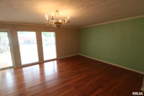 Tiny photo for 101 Lingale Street, Marion, IL 62959 (MLS # EB459628)