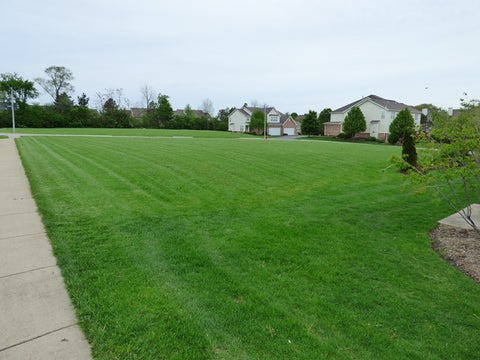 Tiny photo for 8426 Dawn Lane, Darien, IL 60561 (MLS # 12733247)