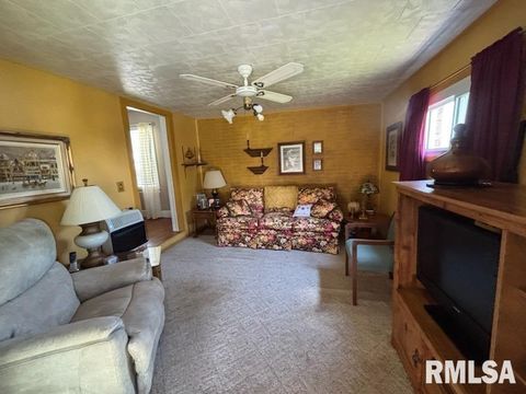 Tiny photo for 814 3RD Street, Rosiclare, IL 62982 (MLS # QC4265662)