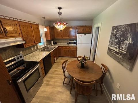 Tiny photo for 814 3RD Street, Rosiclare, IL 62982 (MLS # QC4265662)