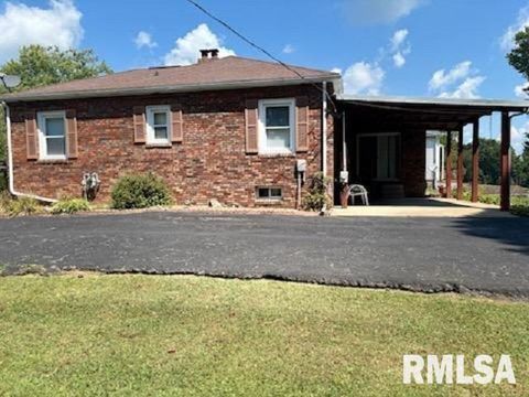 Tiny photo for 814 3RD Street, Rosiclare, IL 62982 (MLS # QC4265662)