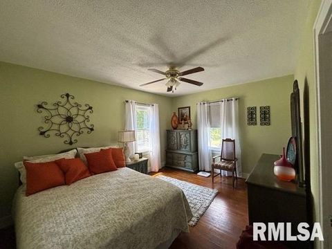 Tiny photo for 814 3RD Street, Rosiclare, IL 62982 (MLS # QC4265662)