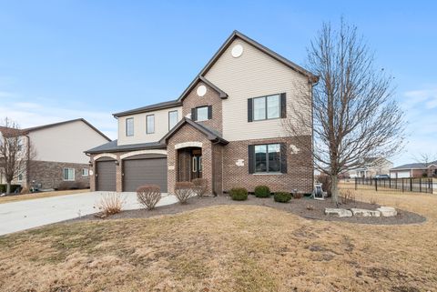 2884 Brett Drive New Lenox IL 60451