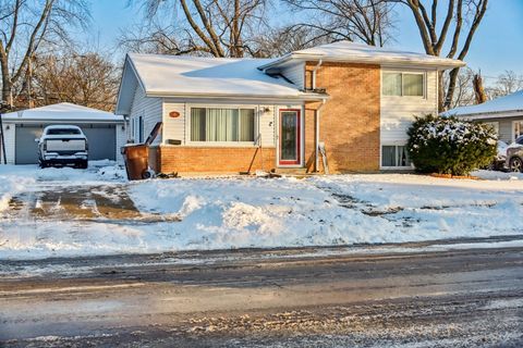 Photo of 115 Willow Street, Park Forest, IL 60466 (MLS # 12555436)