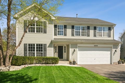 Photo of 6806 Highgate Road, Carpentersville, IL 60110 (MLS # 12625495)