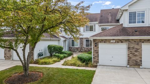 Photo of 156 Sierra Pass Drive #4, Schaumburg, IL 60194 (MLS # 12479565)