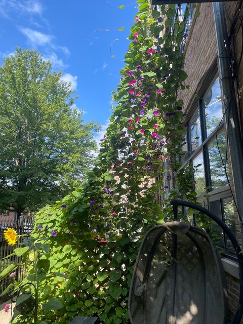 Tiny photo for 1137 N Wood Street #1F, Chicago, IL 60622 (MLS # 12542237)