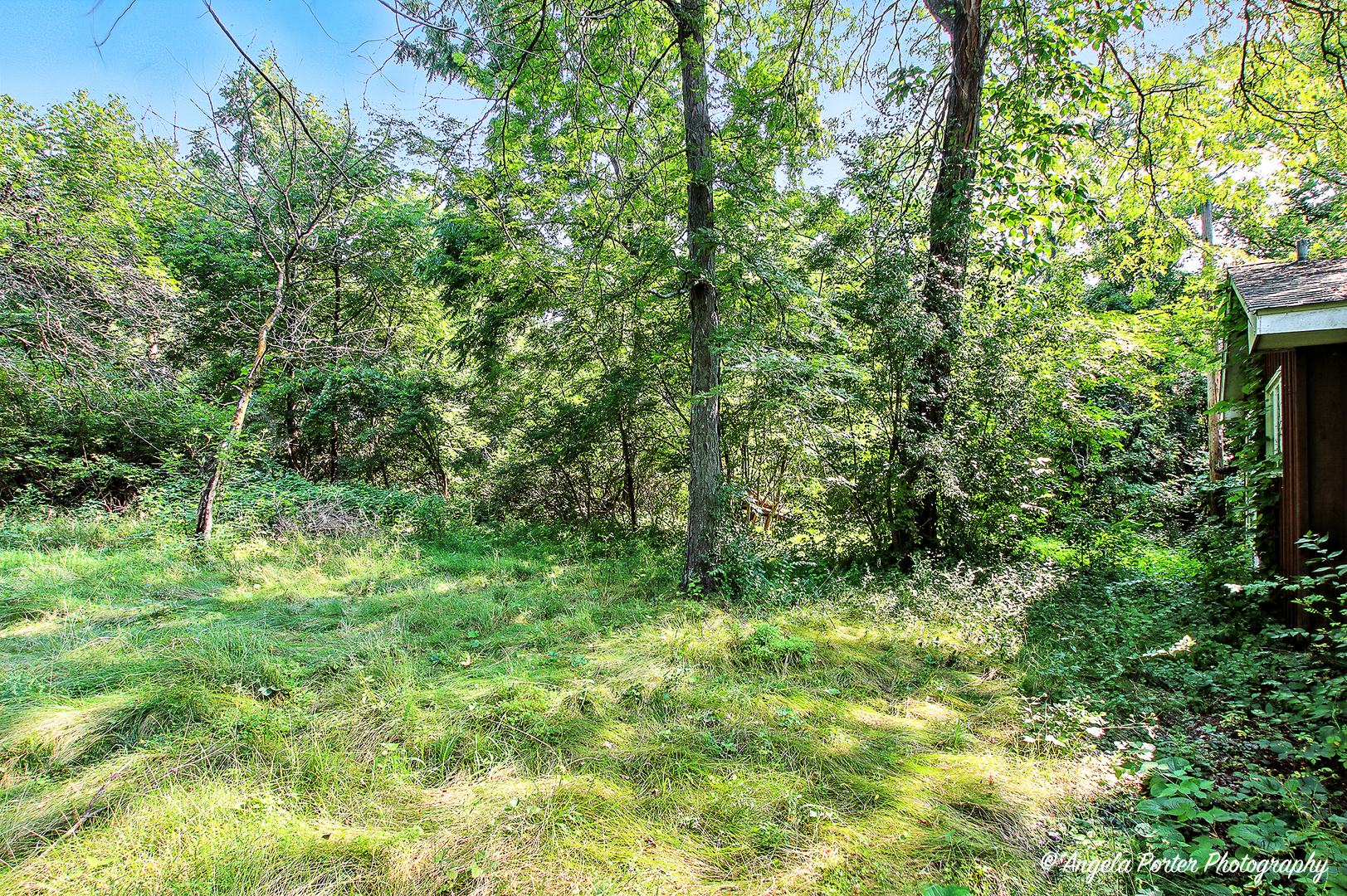 24952 W Island Drive