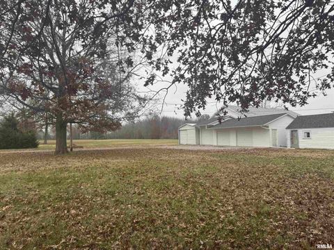 Tiny photo for 8576 Old Route 13, Marion, IL 62959 (MLS # EB460701)
