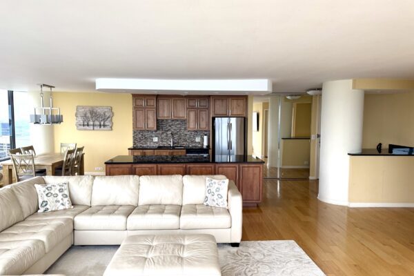 505 N Lake Shore Drive 4910