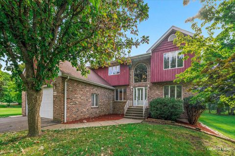 Photo of 16561 S Lily Cache Road, Plainfield, IL 60586 (MLS # 12465849)
