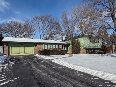 Photo of 824 N Harrow Court, Addison, IL 60101 (MLS # 12552151)