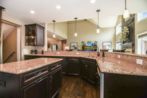 Tiny photo for 20042 Brendan Street, Frankfort, IL 60423 (MLS # 12436095)