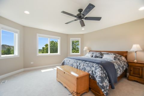 Tiny photo for 20042 Brendan Street, Frankfort, IL 60423 (MLS # 12436095)