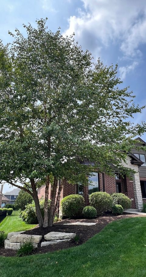Tiny photo for 20042 Brendan Street, Frankfort, IL 60423 (MLS # 12436095)
