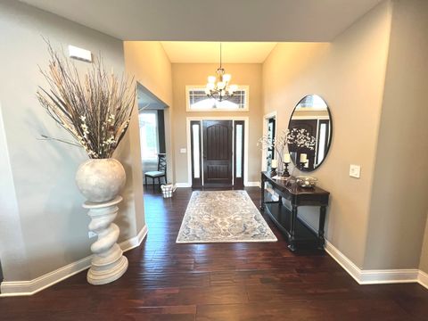 Tiny photo for 20042 Brendan Street, Frankfort, IL 60423 (MLS # 12436095)
