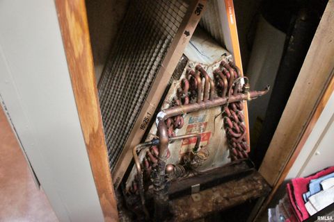 Tiny photo for 6752 S US 45 Road, Brookport, IL 62910 (MLS # EB459607)