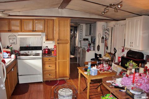 Tiny photo for 6752 S US 45 Road, Brookport, IL 62910 (MLS # EB459607)