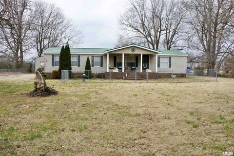 Tiny photo for 6752 S US 45 Road, Brookport, IL 62910 (MLS # EB459607)