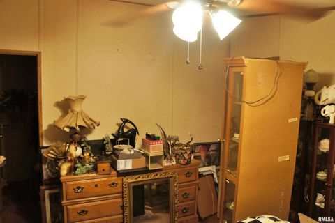 Tiny photo for 6752 S US 45 Road, Brookport, IL 62910 (MLS # EB459607)