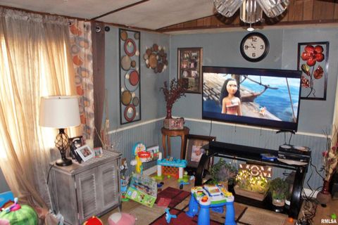 Tiny photo for 6752 S US 45 Road, Brookport, IL 62910 (MLS # EB459607)