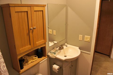 Tiny photo for 6752 S US 45 Road, Brookport, IL 62910 (MLS # EB459607)