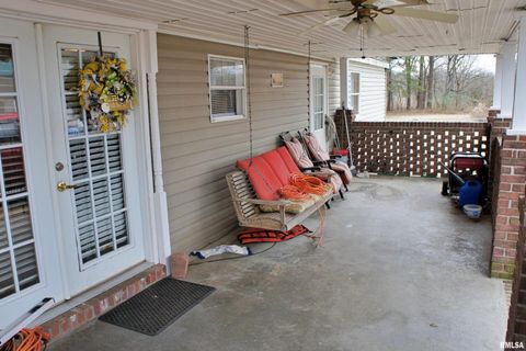 Tiny photo for 6752 S US 45 Road, Brookport, IL 62910 (MLS # EB459607)