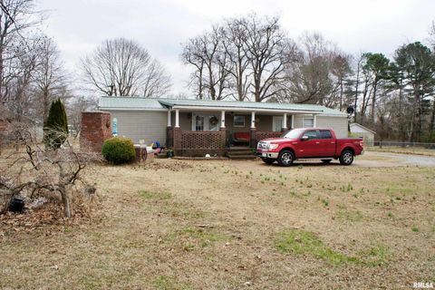 Tiny photo for 6752 S US 45 Road, Brookport, IL 62910 (MLS # EB459607)