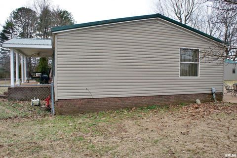 Tiny photo for 6752 S US 45 Road, Brookport, IL 62910 (MLS # EB459607)