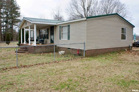 Tiny photo for 6752 S US 45 Road, Brookport, IL 62910 (MLS # EB459607)