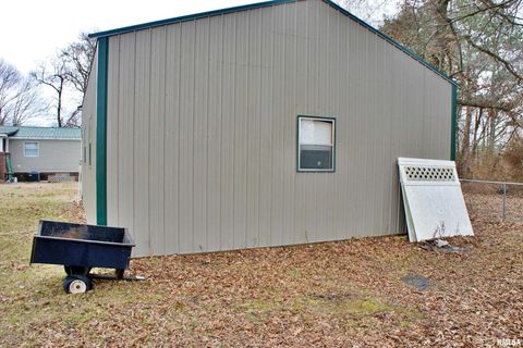 Tiny photo for 6752 S US 45 Road, Brookport, IL 62910 (MLS # EB459607)