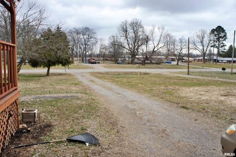 Tiny photo for 6752 S US 45 Road, Brookport, IL 62910 (MLS # EB459607)